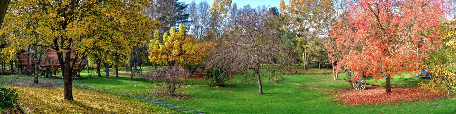 Parc arbore et paisible pour cet hebergement insolite
