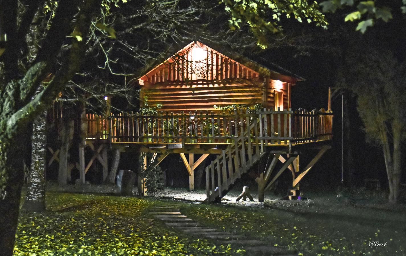 Accès par l'escalier en bois à notre cabane dans les arbres pour un week-end insolite en Dordogne